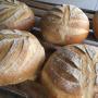Brood, Speciaal brood, Pistolets, sandwichen en stokbroden, vlaaien, gebak, biscuits