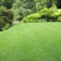 jardin entretenu par Claude Mahin de Ardennes Plants