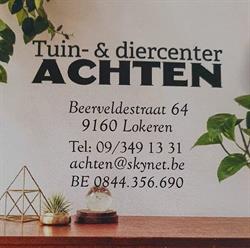 Achten Renaat