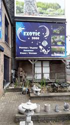 Exotic 2000 SA