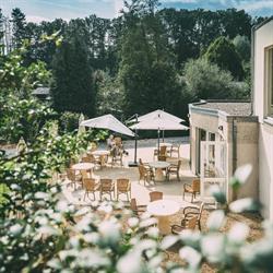 Domaine de la Rose Blanche