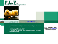 P.l.v. Clean Service