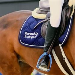 Horsewhip