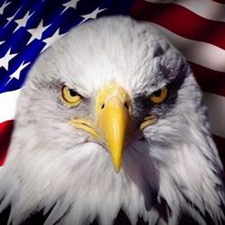 Amerikaans Stockhuis Smits en Som