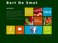 De Smet Bart Bvba