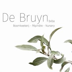 De Bruyn BVBA