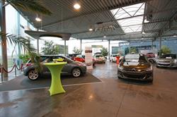 Pg Cars Bvba