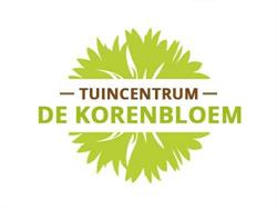 De Korenbloem