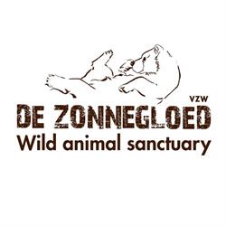 De Zonnegloed