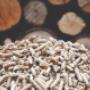 pellets meessen guidon