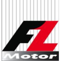 FZ Motor
