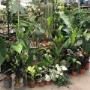 # 7