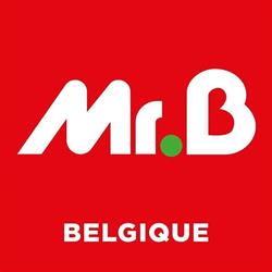 Mr.bricolage Tamines