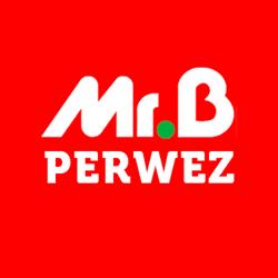 Mr.bricolage Perwez