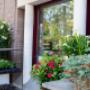 Artistic Planten