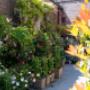 Artistic planten