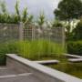 Tuinwerken Plasschaert vijvers