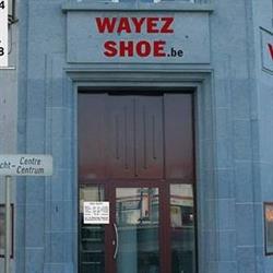 Wayez Shoes