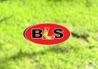 BLS srl