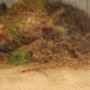 Afvalverwerkingsbedrijf Catte Containers