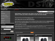D.S.M. International NV