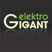 Elektrogigant