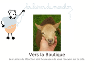 Les Laines du Mouchon
