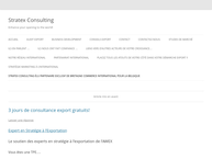 Stratex Consulting
