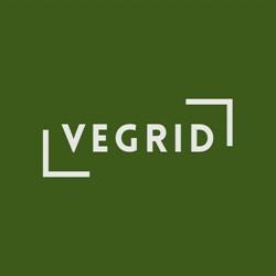 Schoenen VEGRID