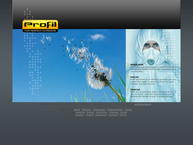 PROFIL bv