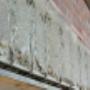 L.C. Construct