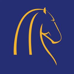 Merit Capital NV