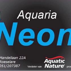 Aquaria Neon
