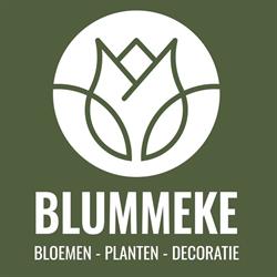 't Blummeke-Fotosynthese BVBA