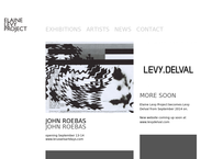 Elaine Levy Project
