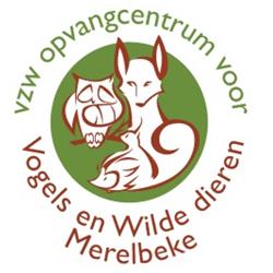 Opvangcentrum Voor Vogels En Wilde Dieren Merelbeke