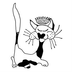 Protection et Stérilisation des Chats Libres ASBL