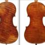 Violoncelles verso Antoine Lippert