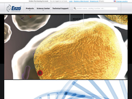 Enzo Life Sciences BVBA