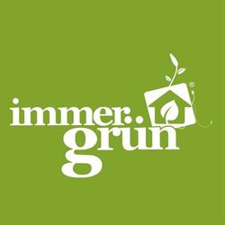 Immergrün