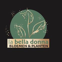 La Bella Donna Bvba