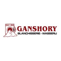 Blanchisserie et nettoyage à sec Ganshory sa