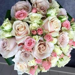 Bloemen Driesen