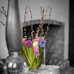 Mariën (Bloemen)