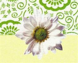 Bloemen En Planten's Van Praet