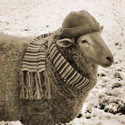 Herder (Den)