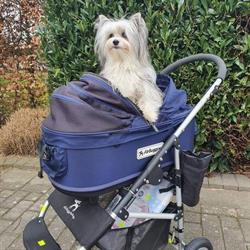 Dierenspeciaalzaak Christel