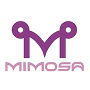 Mimosa Lingerie
