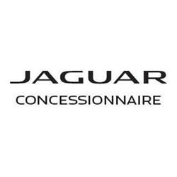 Jaguar Thiry