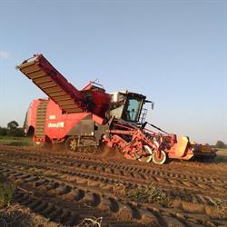 Casier Loonwerken nv